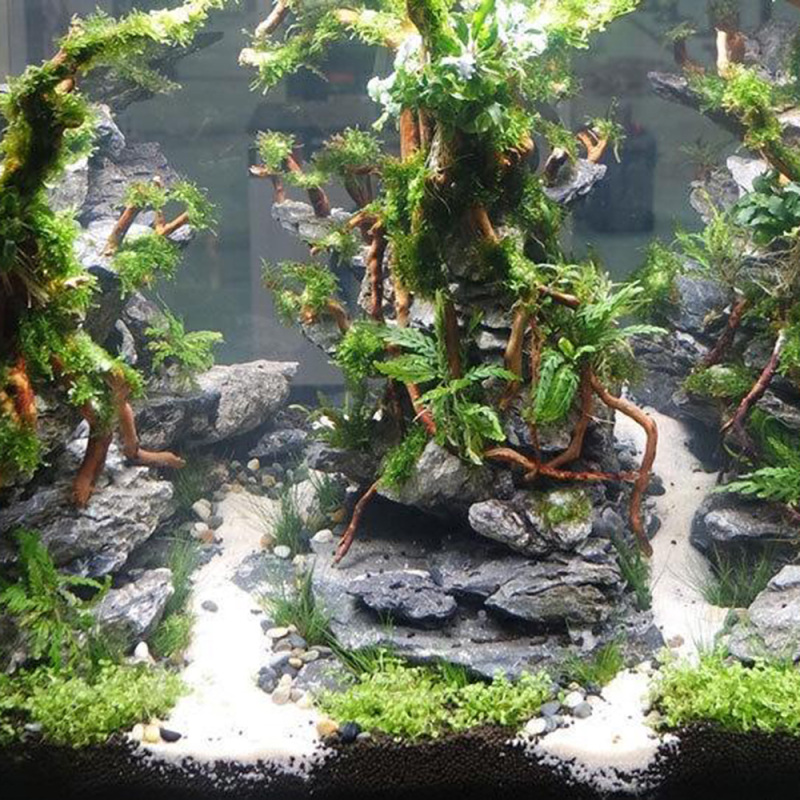 Aquarium Driftwood - Aquarium Micro Landscape Natural Driftwood Root