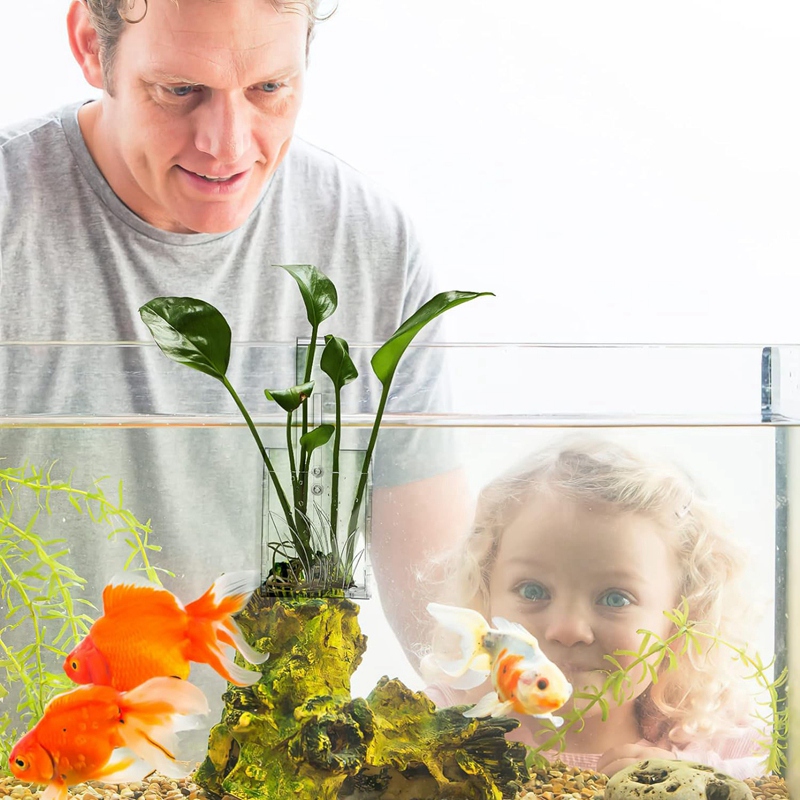 Plant Aquarium Pot - Aquarium Planter - Hanging Aquarium Plant