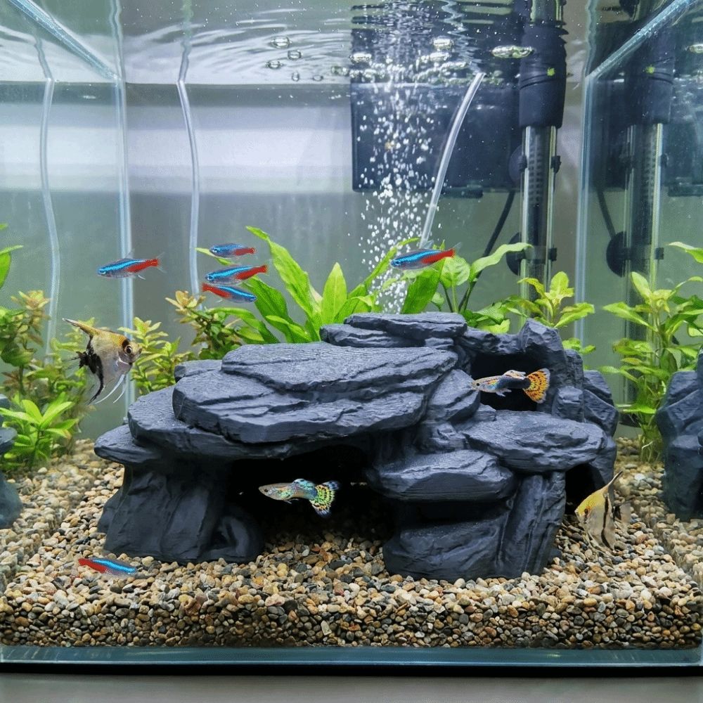 3D Printing Fish Tank Rockery  - đánh giá và giá Aquarium Plants Live
