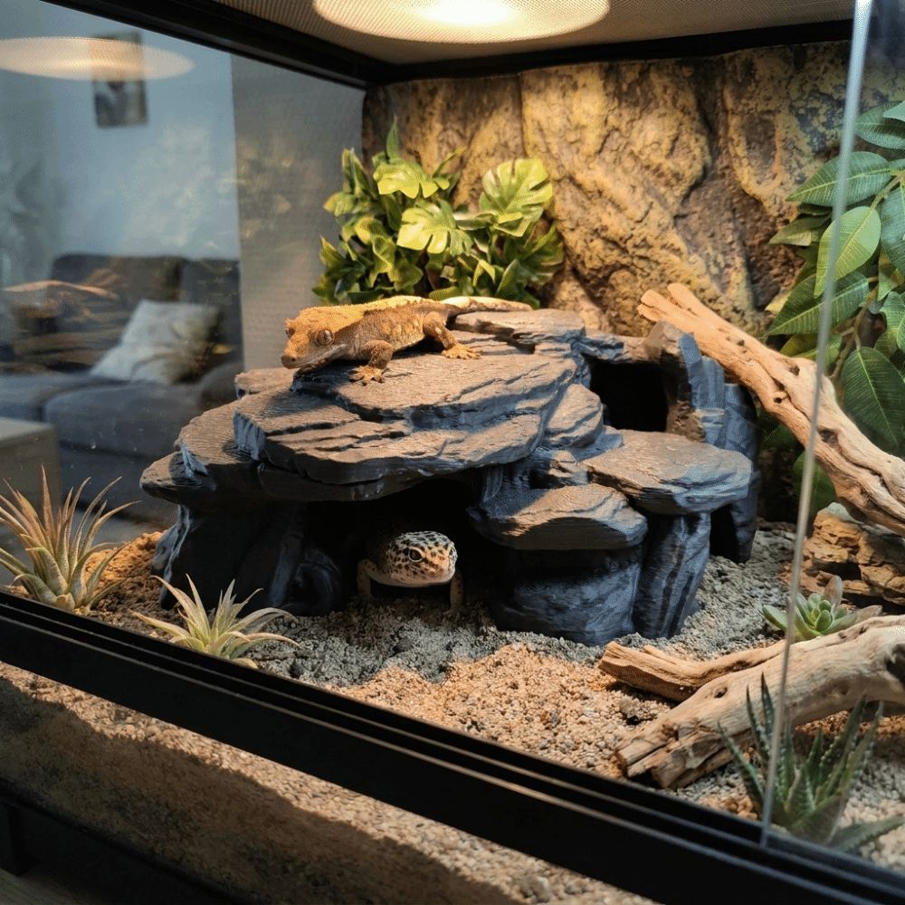 3D Printing Fish Tank Rockery  - đánh giá và giá Aquarium Plants Live