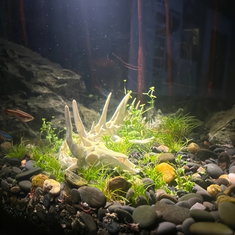 1pc Dragon-Shaped Fishbone Dec - đánh giá và giá Aquarium Moss