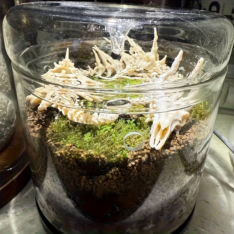 1pc Dragon-Shaped Fishbone Dec - đánh giá và giá Aquarium Moss