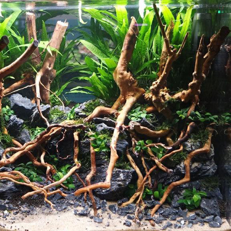 Natural Driftwood Root Trunk T - đánh giá và giá Aquarium Driftwood