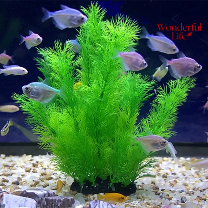 19/30CM Water Grass Aquatic Pl - đánh giá và giá Aquarium Plant Substrate