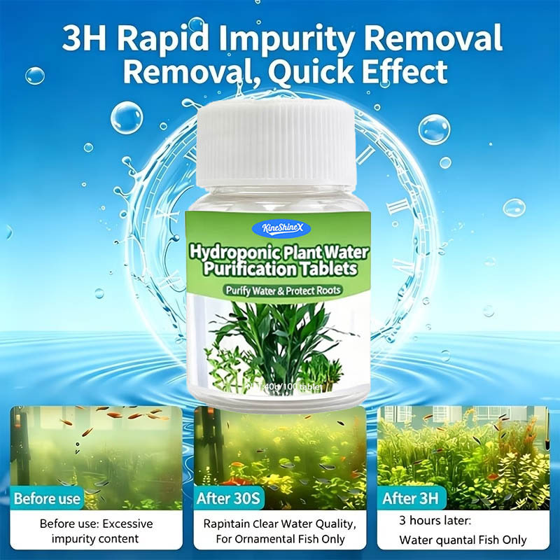 Hydroponic Water Purification  - đánh giá và giá Plant Aquarium Pot