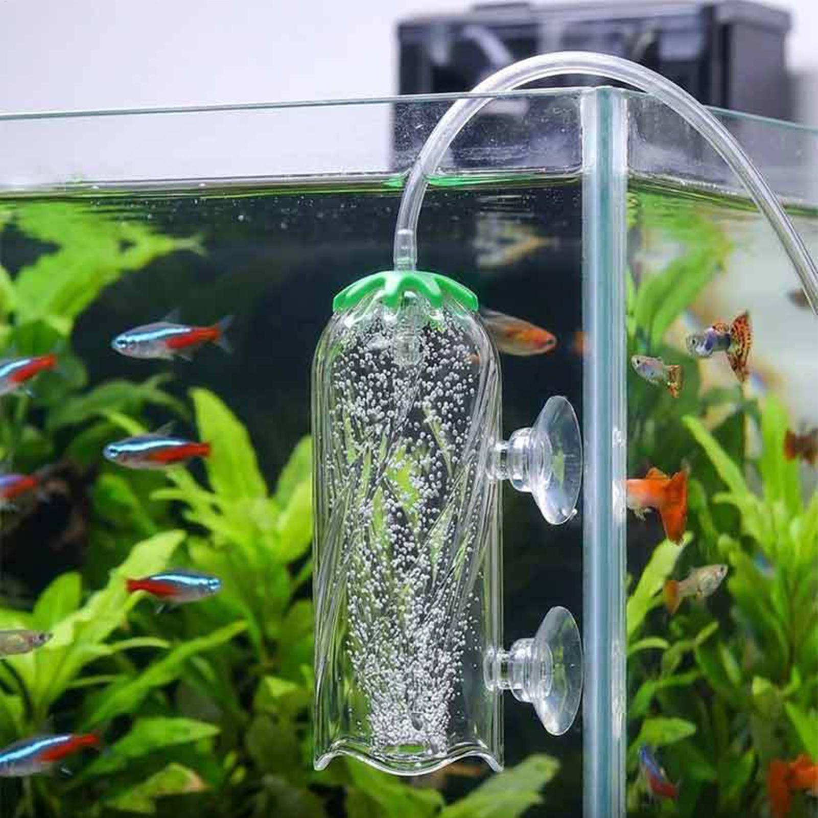 Fish Tank Oxygen Diffuser Spla - đánh giá và giá Aquarium Planted Tank Filter