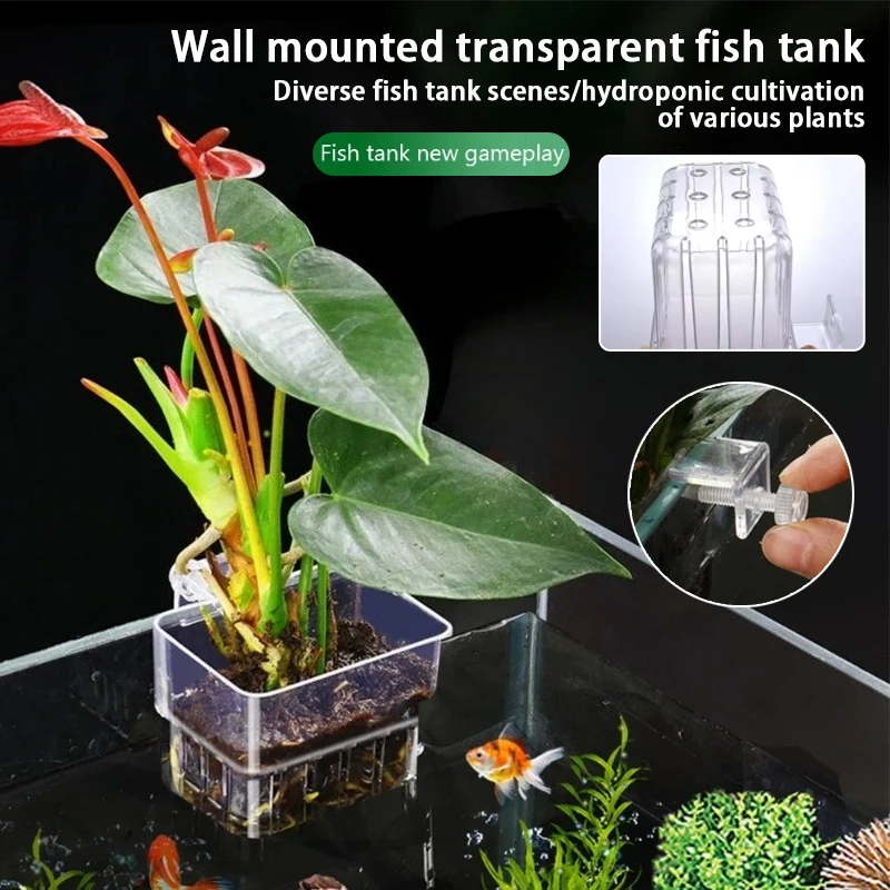Aquarium Hanging Planter Cups  - đánh giá và giá Plant Aquarium Pot