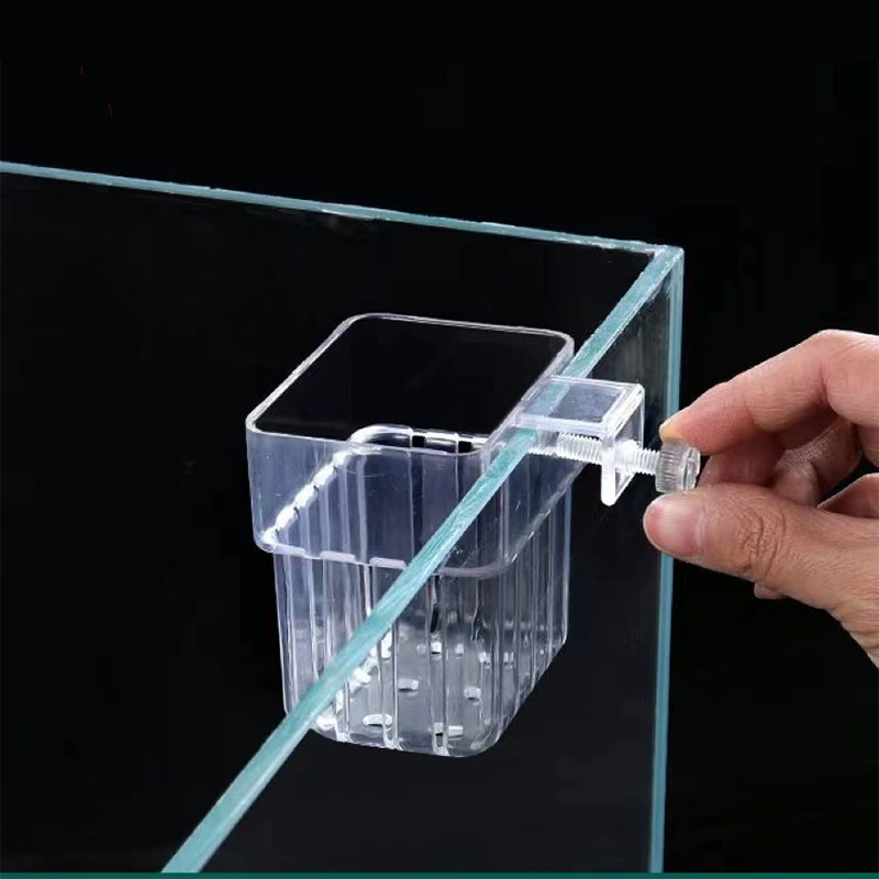 Aquarium Plant Holder Transpar - đánh giá và giá Plant Aquarium Pot