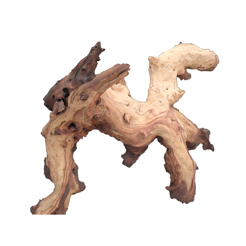 Mopani Roots Driftwood Wholesa - đánh giá và giá Aquarium Driftwood