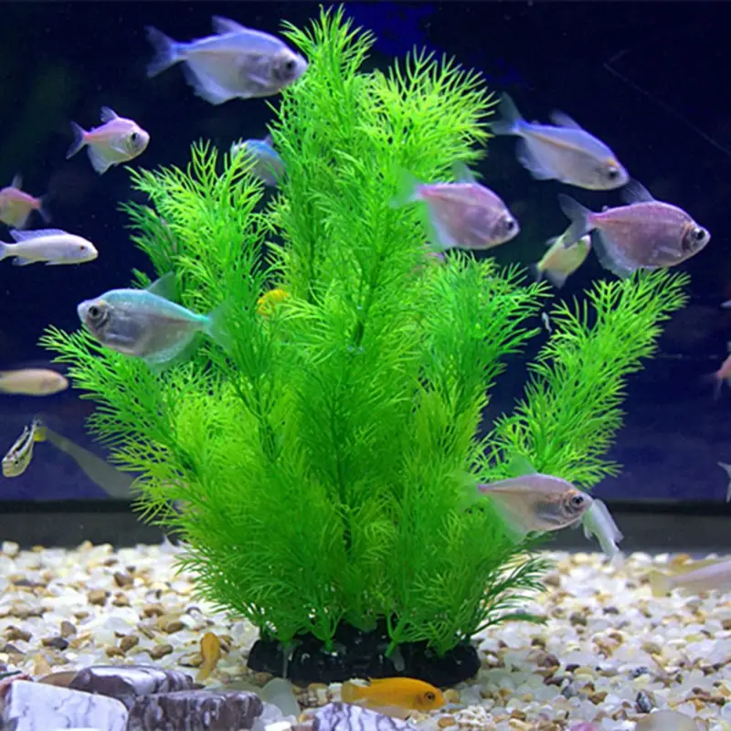 Artificial Aquarium Decor Plan - đánh giá và giá Aquarium Plants Live