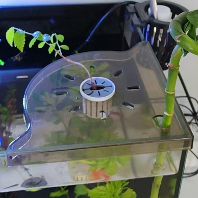 Fish Tank Corner Shelf  Coral  - đánh giá và giá Aquarium Plant Holder