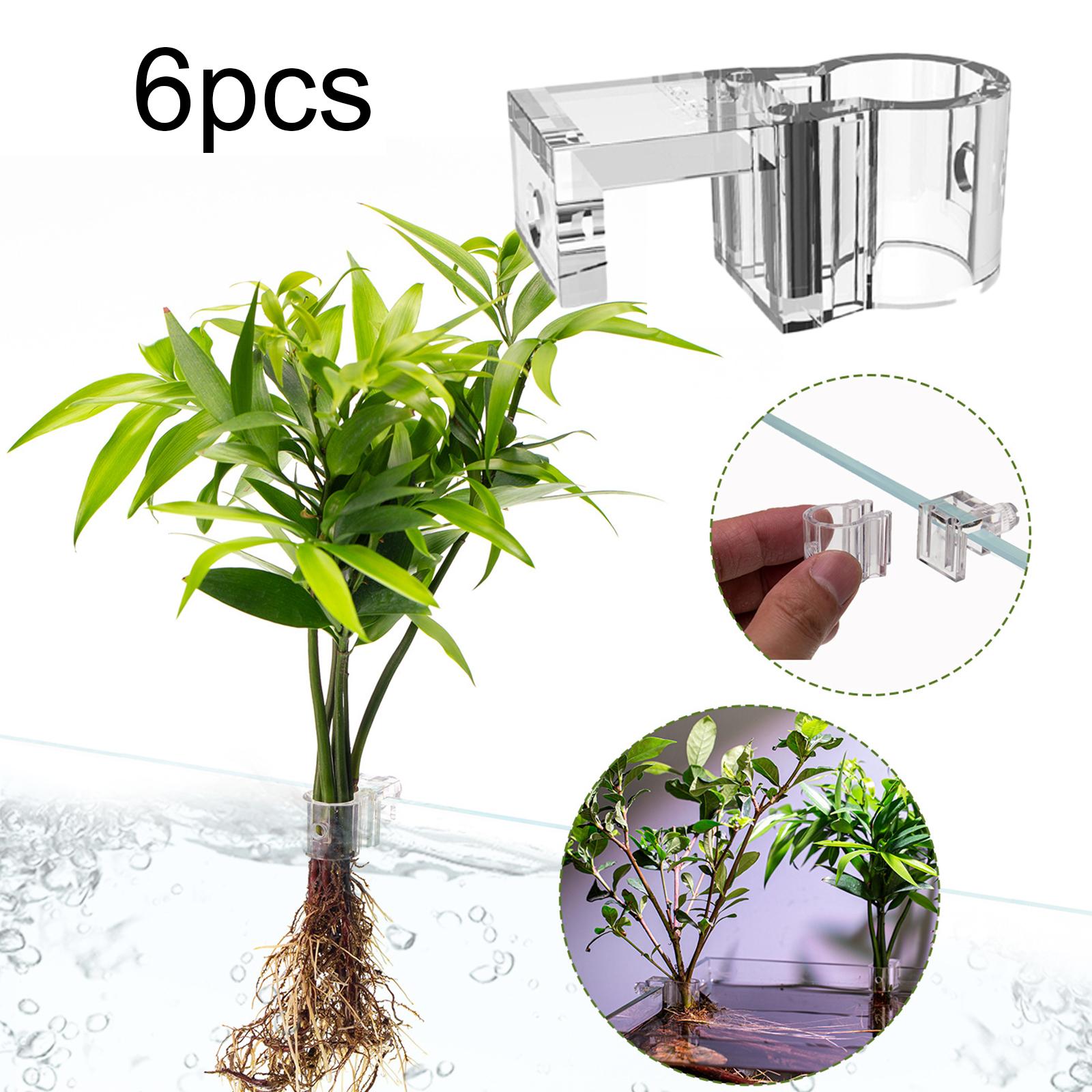 6Pcs Aquarium Plant Holder Sup - đánh giá và giá Plant Aquarium Pot
