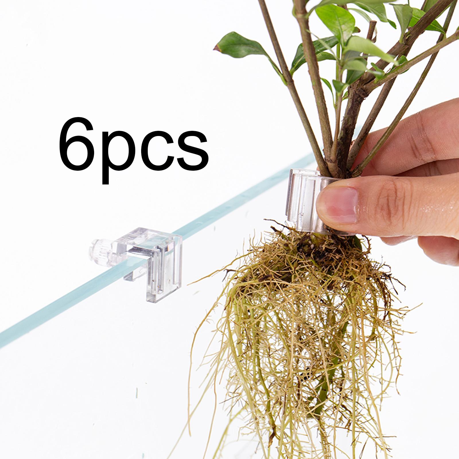 6Pcs Aquarium Plant Holder Sup - đánh giá và giá Plant Aquarium Pot