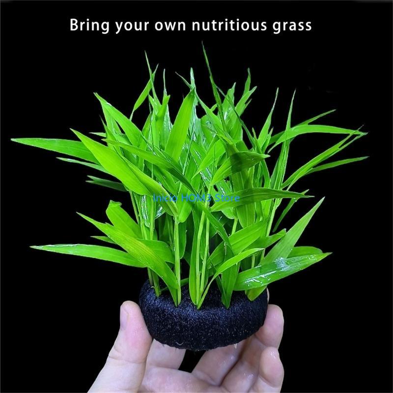 Chất nền nhà máy nước an toàn  - đánh giá và giá Aquarium Plant Substrate