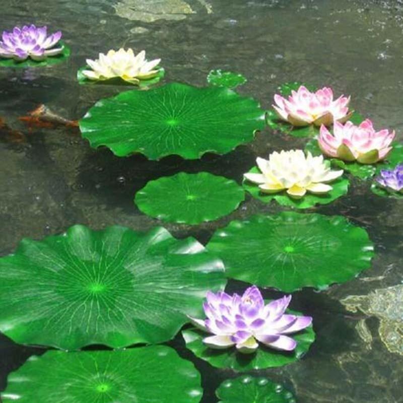 2026 Artificial Water Lily Lot - đánh giá và giá Aquarium Moss