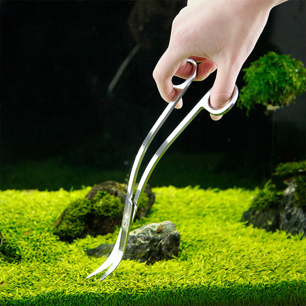 Aquarium Accessories Hard Stai - đánh giá và giá Planted Aquarium Cleaning