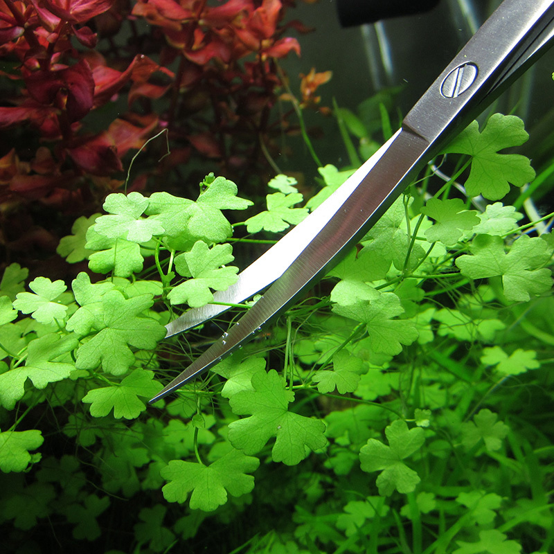 Aquarium Accessories Hard Stai - đánh giá và giá Planted Aquarium Cleaning