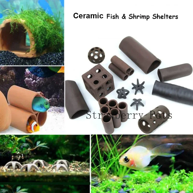 Ceramic Aquarium Decoration Fi - đánh giá và giá Aquarium Plants Live