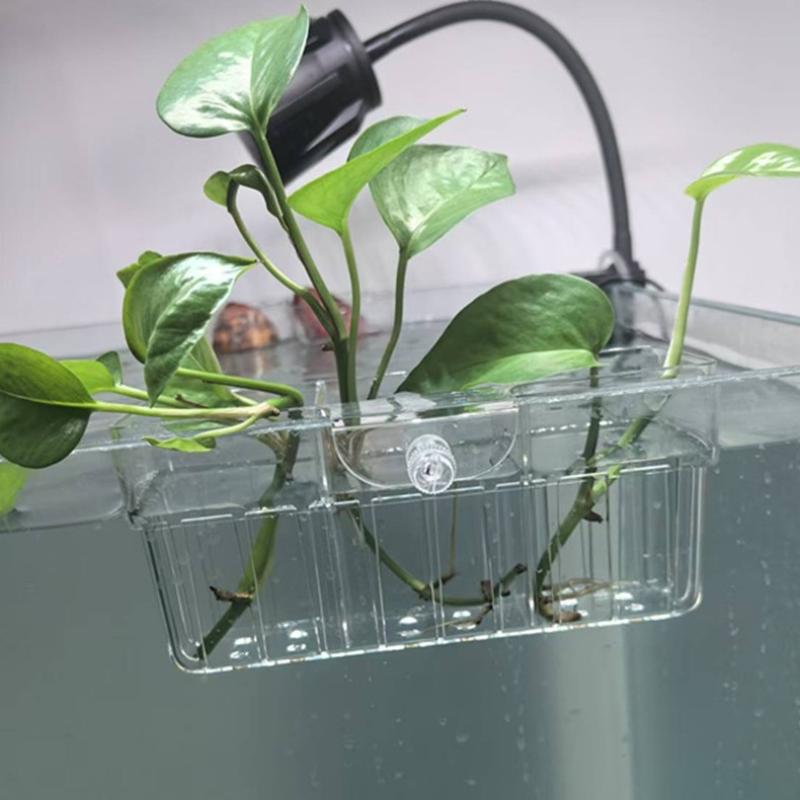Hydroponic Plant Basket Food G - đánh giá và giá Aquarium Plant Holder