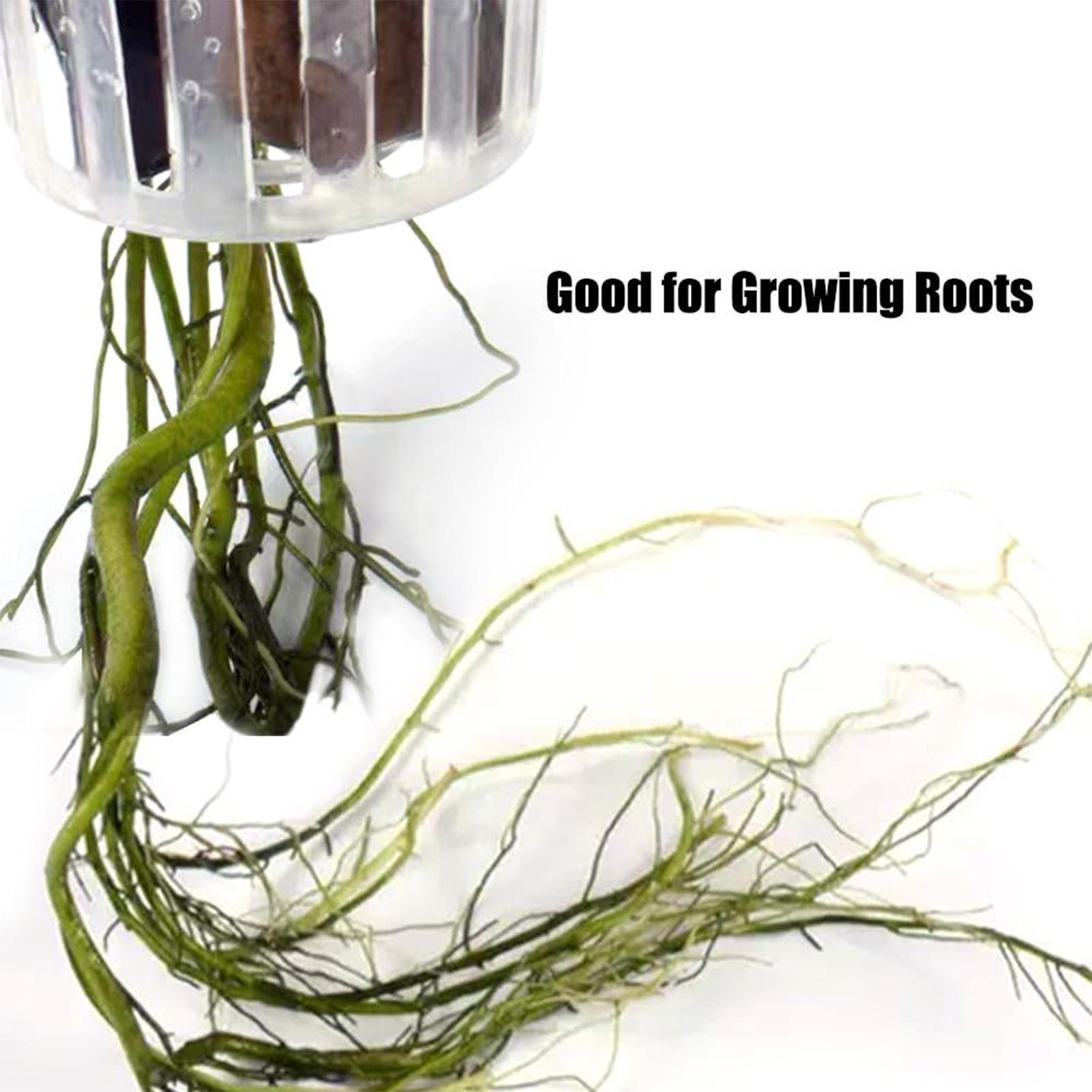 2PCS Hangable Aquatic Plant Ho - đánh giá và giá Aquarium Plant Holder