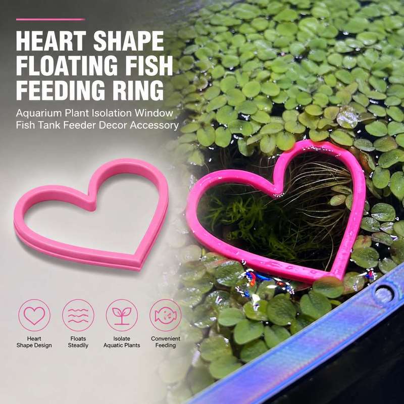 Heart Shaped Floating Fish Fee - đánh giá và giá Aquarium Fertilizer