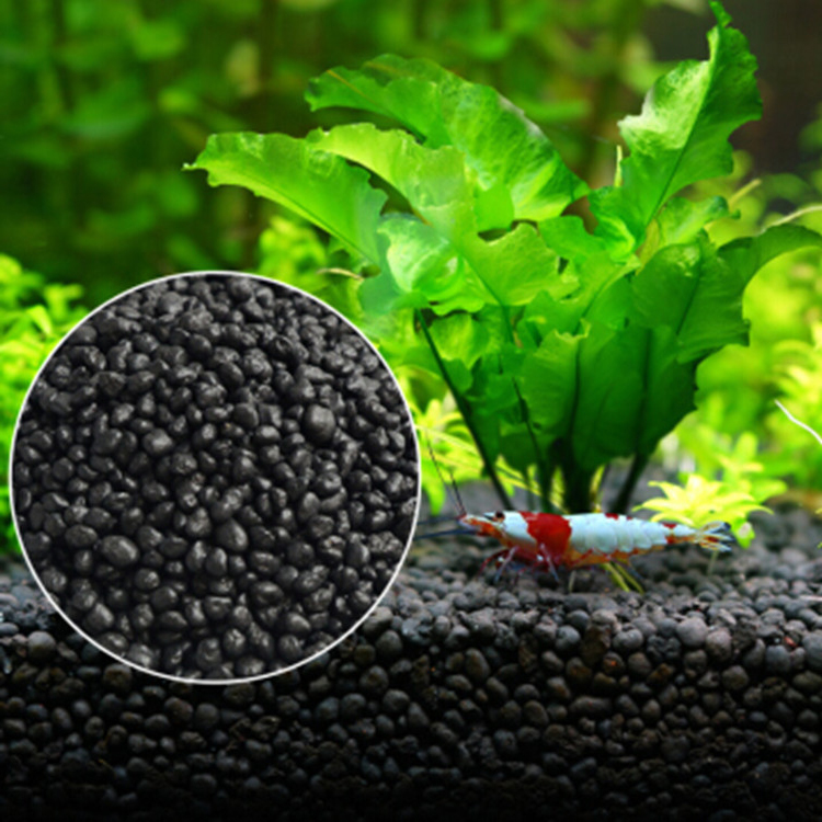 Bể Cá Cảnh Vật Có Hạt Đất Fish - đánh giá và giá Aquarium Fertilizer