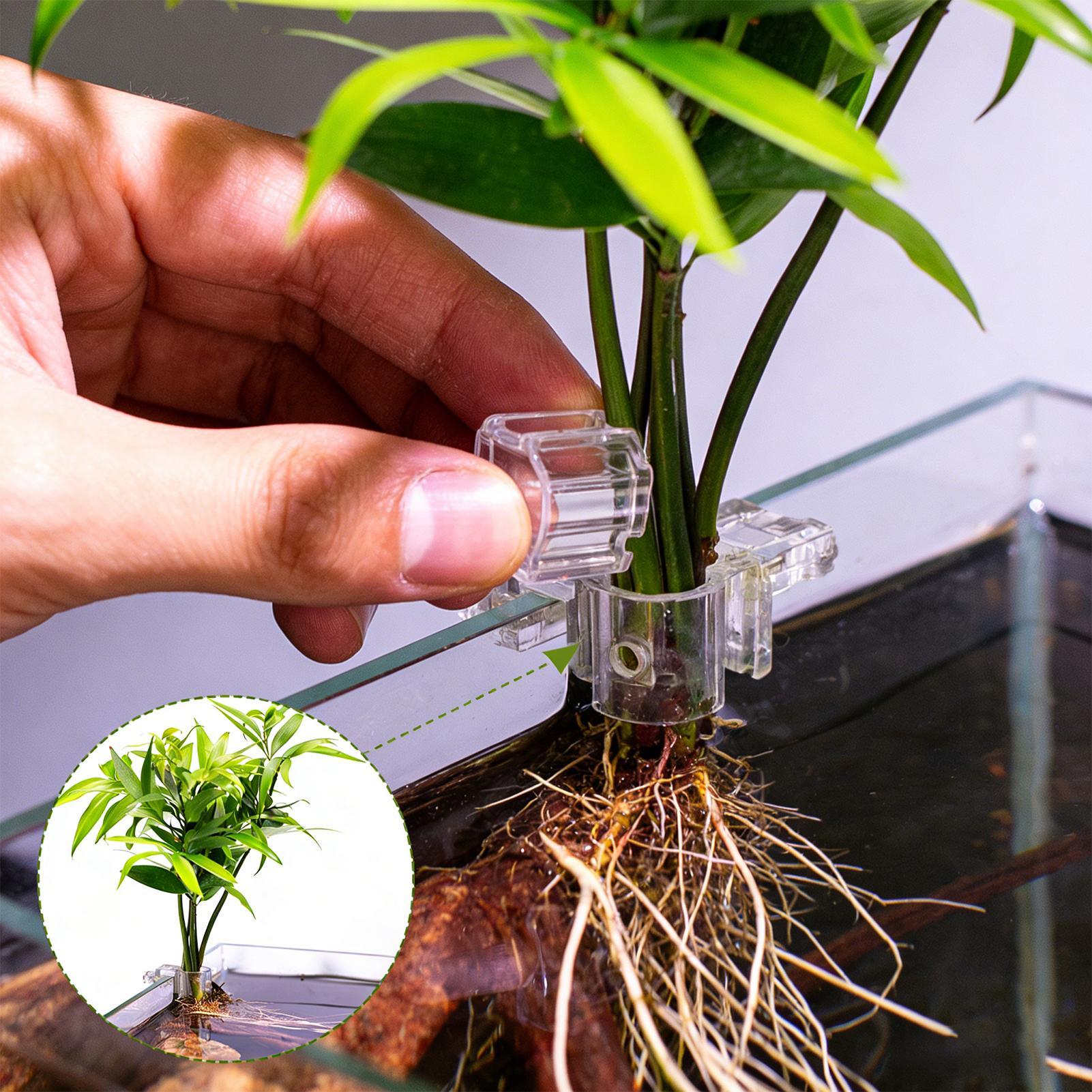 Mini Fish Tank Planter Pot 6Pc - đánh giá và giá Aquarium Fertilizer