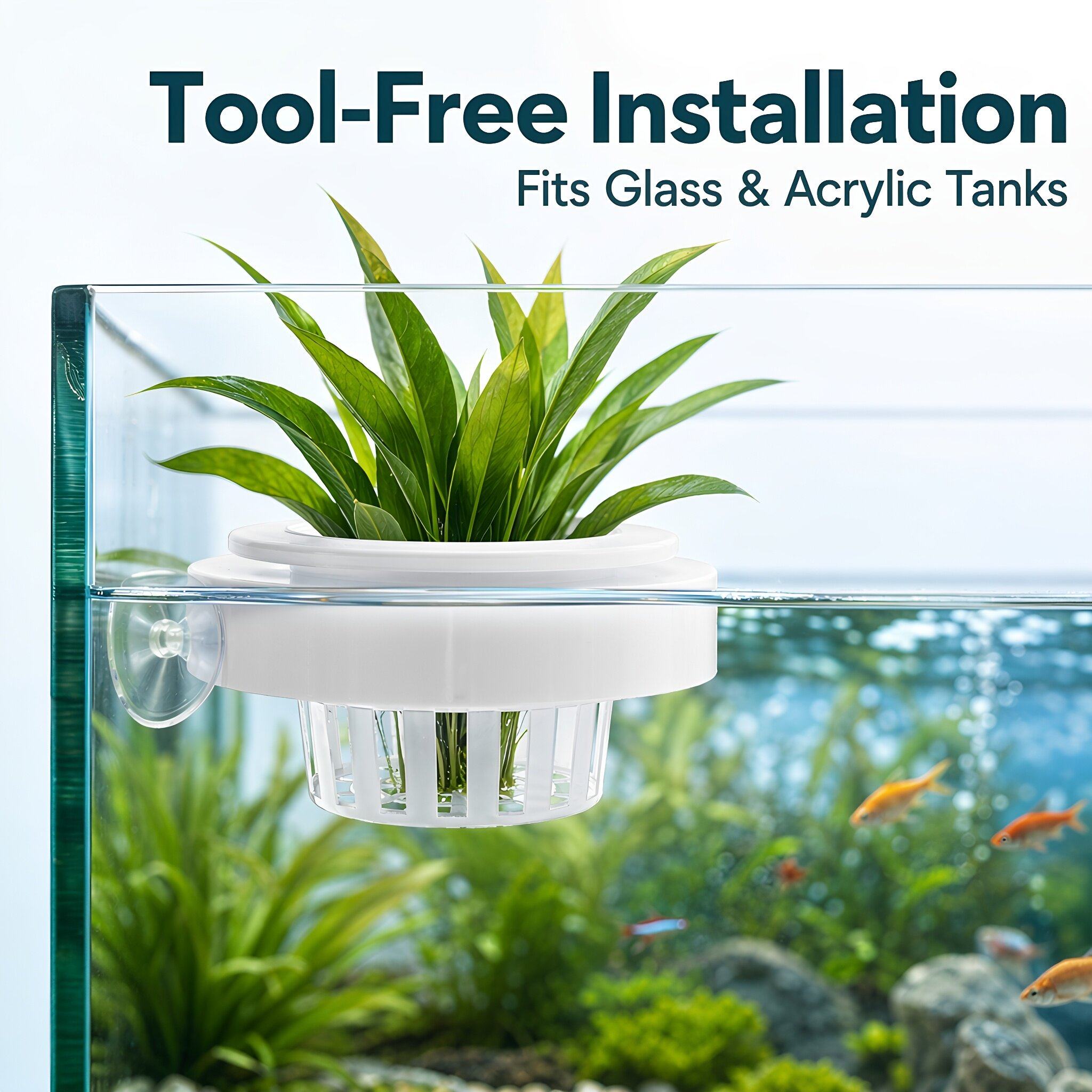 4pcs Floating Aquarium Plant B - đánh giá và giá Planted Tank