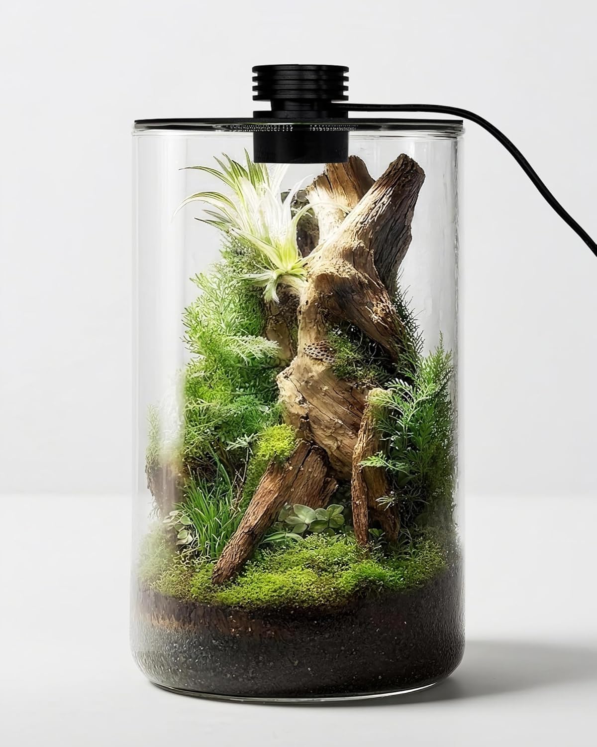 Indoor Glass Terrarium with Gr - đánh giá và giá Planted Tank
