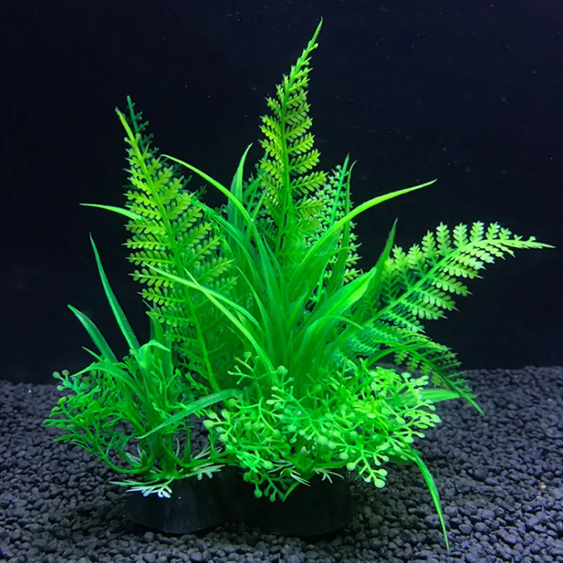 Hồ Cá Nhân Tạo Trang Trí Thực  - đánh giá và giá Live Plant Aquarium
