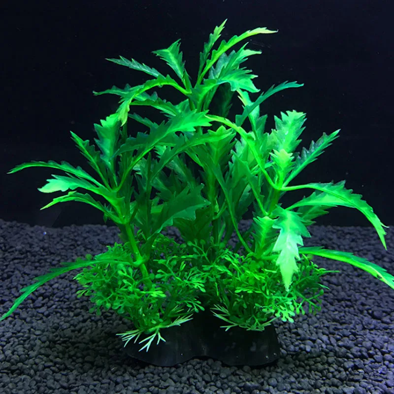 Hồ Cá Nhân Tạo Trang Trí Thực  - đánh giá và giá Live Plant Aquarium