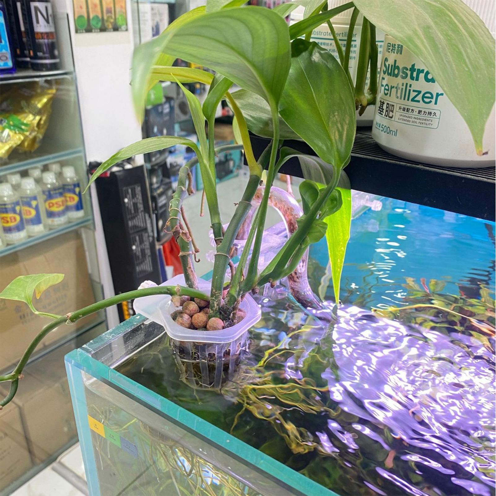 2pcs Fish Tank Planting Cup Hy - đánh giá và giá Plant Aquarium Pot