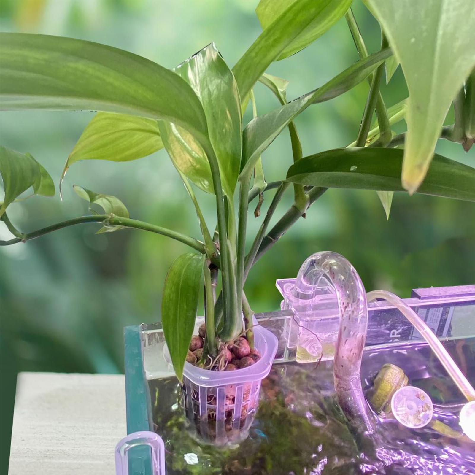 2pcs Fish Tank Planting Cup Hy - đánh giá và giá Plant Aquarium Pot