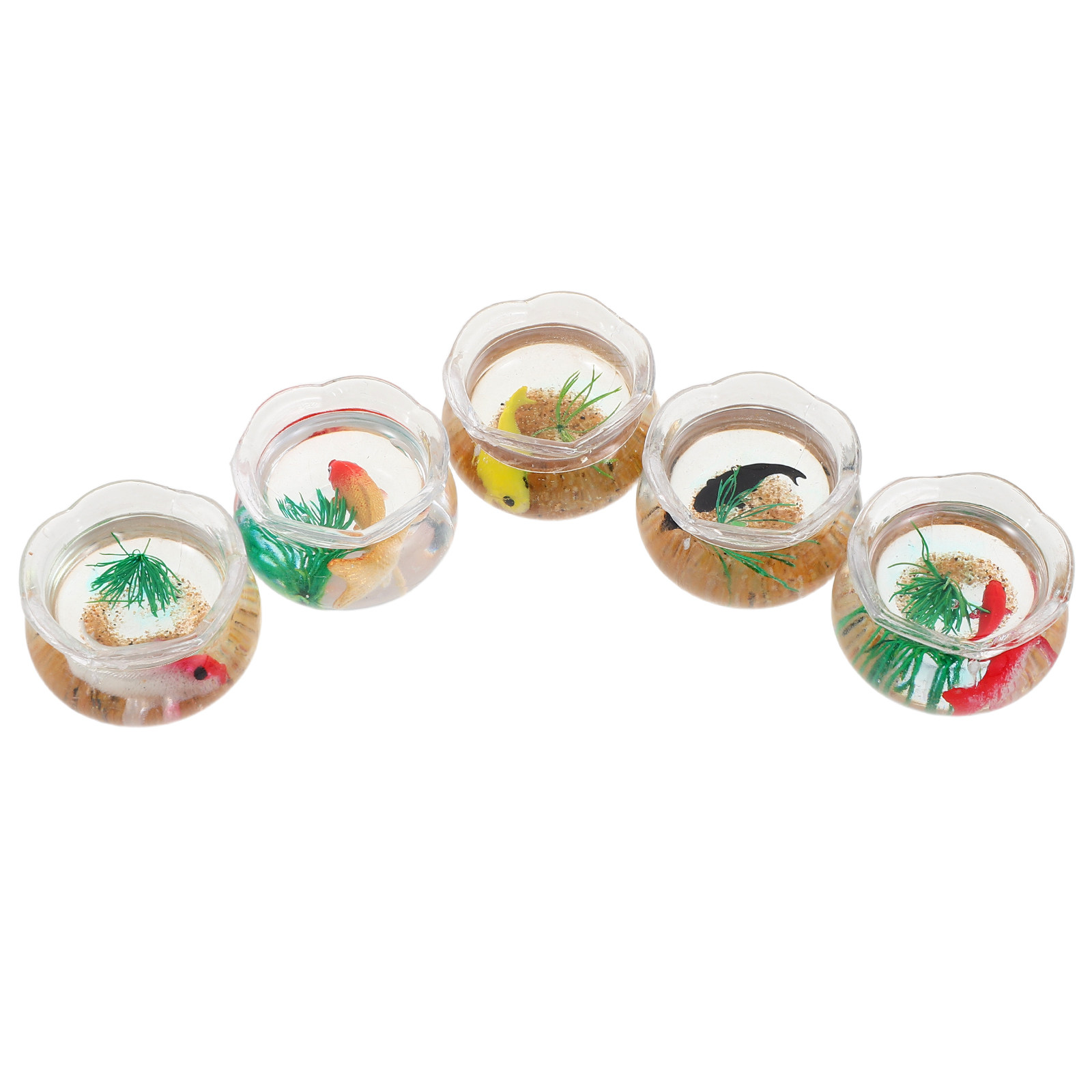 5pcs Mini Koi Fish Tank Set –  - đánh giá và giá Planted Tank