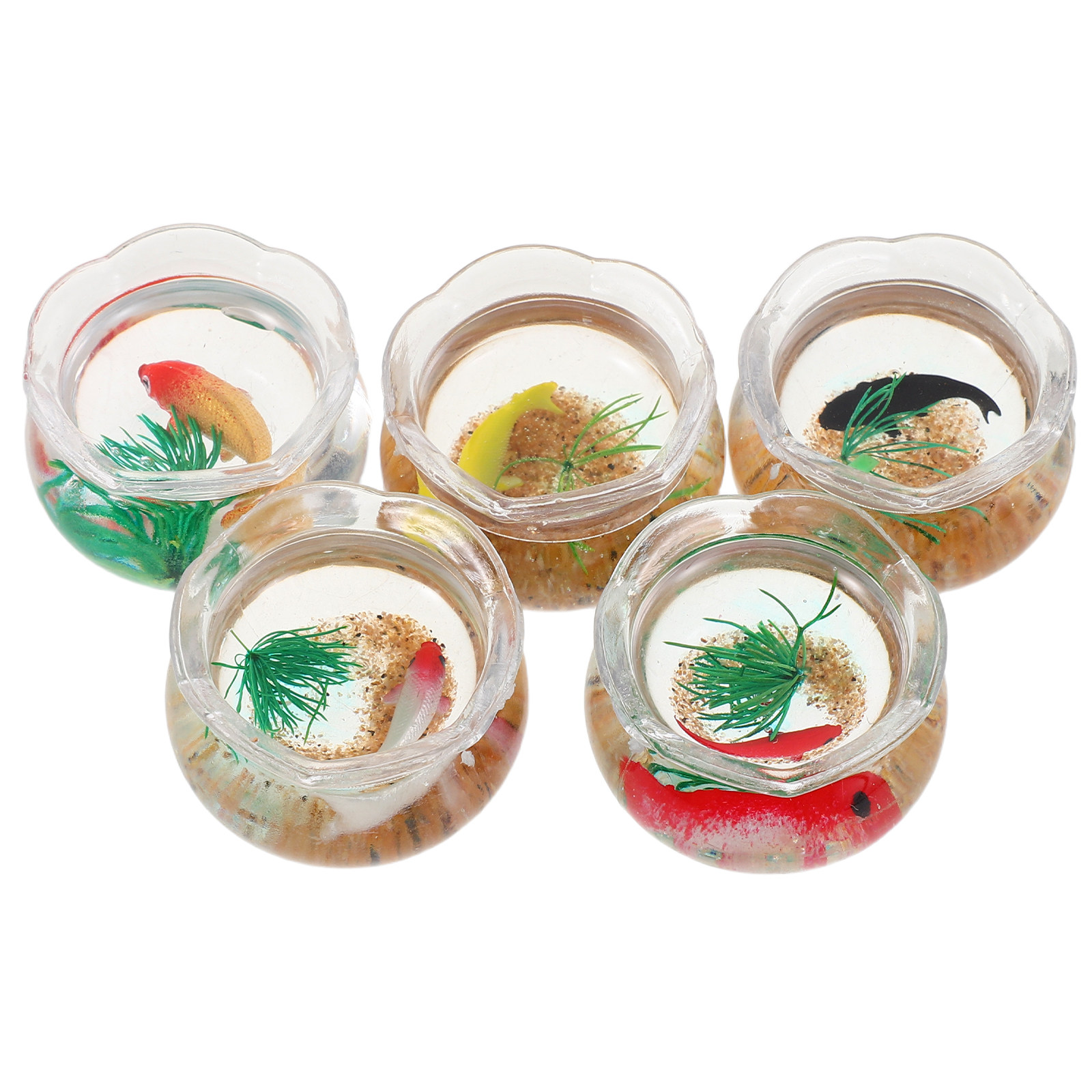5pcs Mini Koi Fish Tank Set –  - đánh giá và giá Planted Tank
