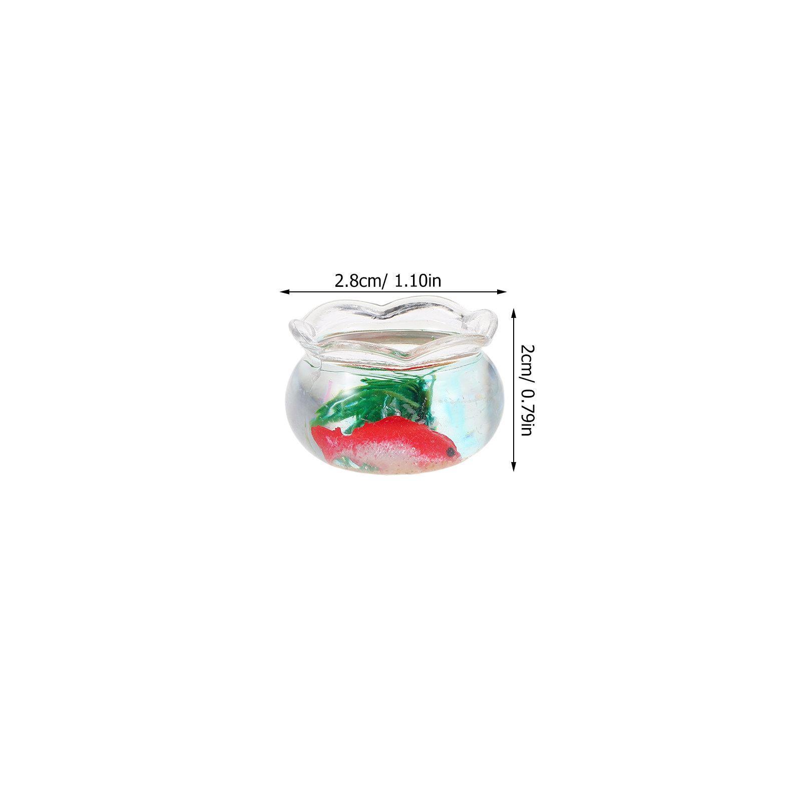 5pcs Mini Koi Fish Tank Set –  - đánh giá và giá Planted Tank