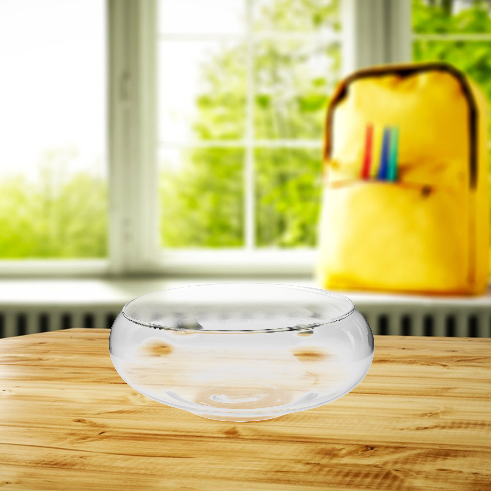 Glass Hydroponic Planter Bowl  - đánh giá và giá Planted Tank