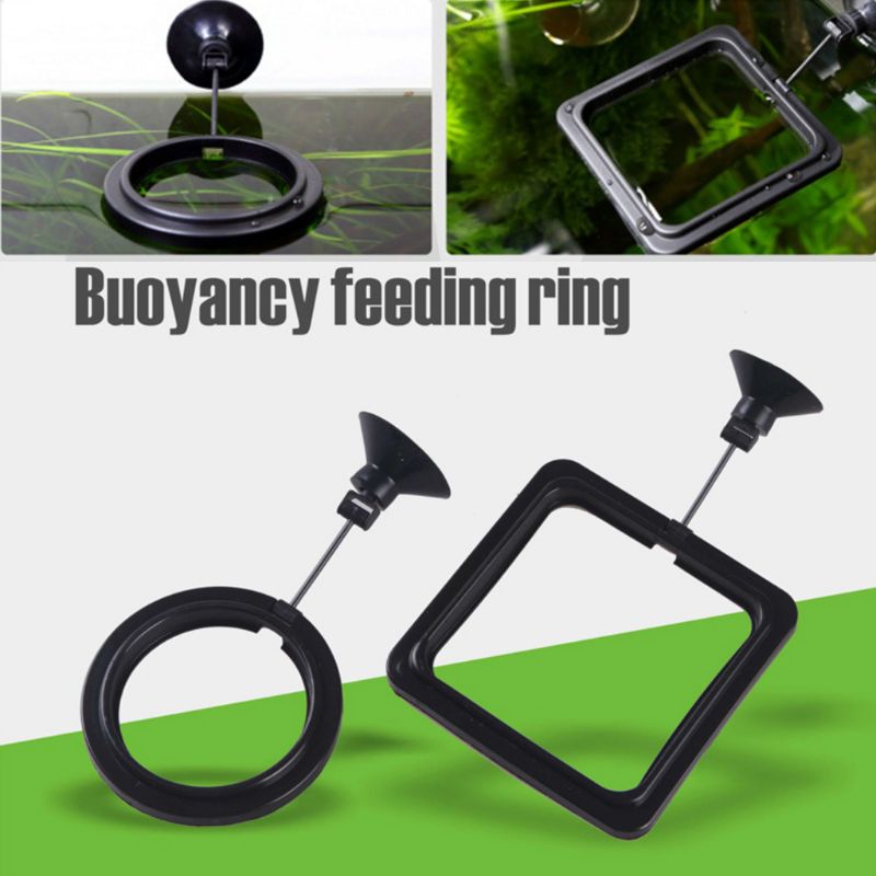 Aquarium Fish Feeding Ring Fis - đánh giá và giá Aquarium Fertilizer