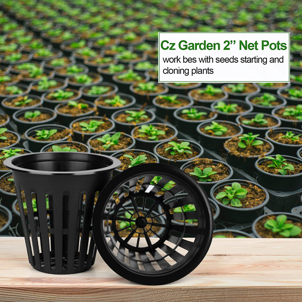 2inch Garden Nursery Pots Plan - đánh giá và giá Plant Aquarium Pot
