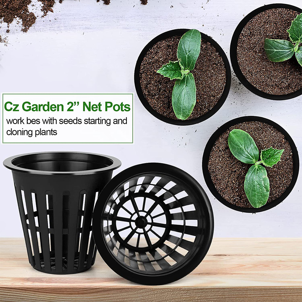 2inch Garden Nursery Pots Plan - đánh giá và giá Plant Aquarium Pot